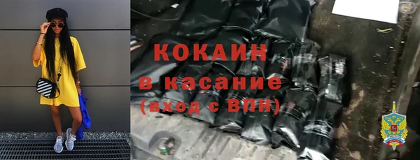 шишки Алексеевка