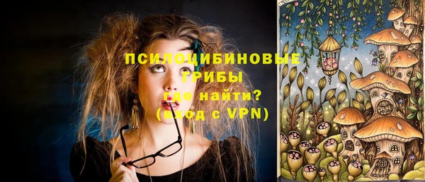 шишки Алексеевка