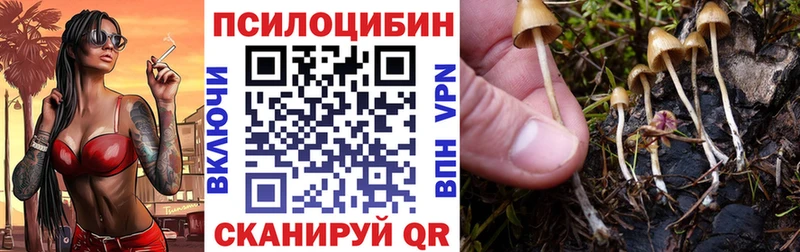 Галлюциногенные грибы мухоморы  Канаш 